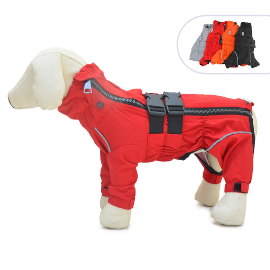 Pet four-legged dog wearing British style black raincoat outdoors