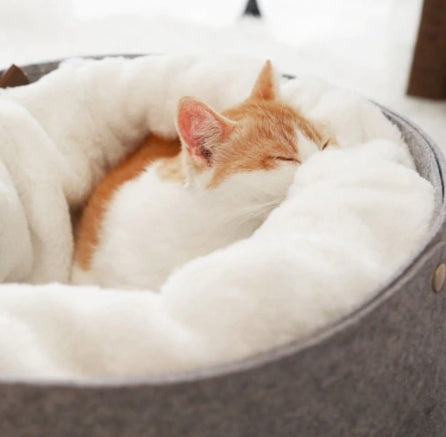 Cozy pet bed with detachable nest for small to medium cats, windproof design to keep pets warm