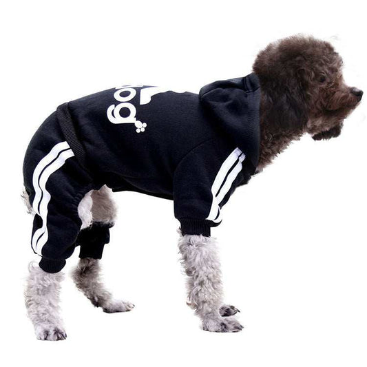 Pet wearing colorful sweater plush button clothing for autumn and winter