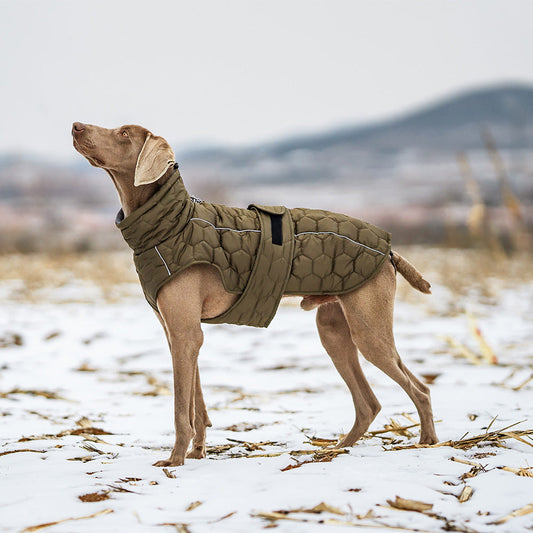 Dog wearing thickened winter pet clothing in various colors and sizes
